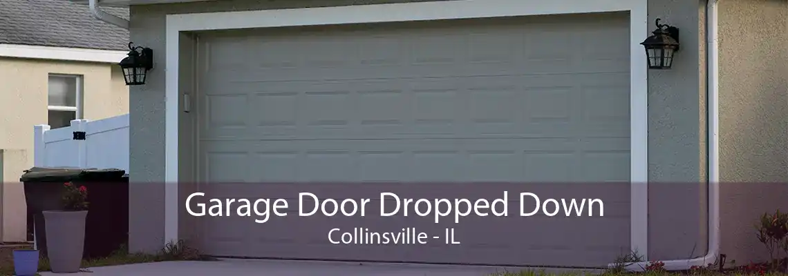 Garage Door Dropped Down Collinsville - IL