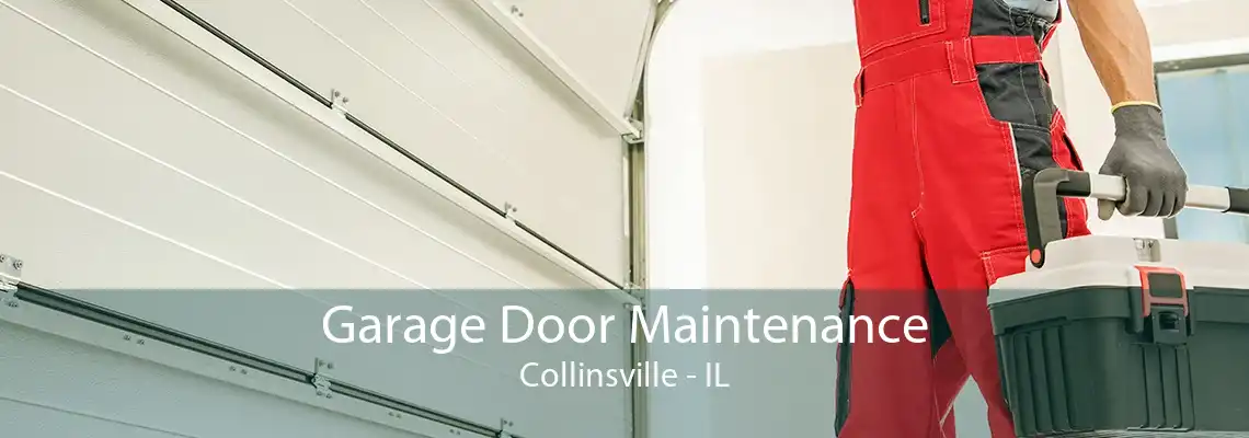 Garage Door Maintenance Collinsville - IL