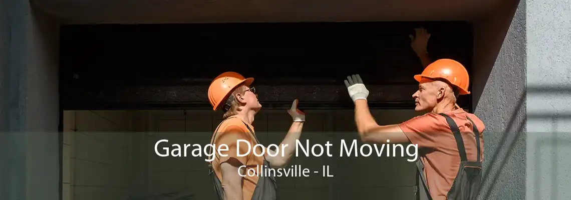 Garage Door Not Moving Collinsville - IL