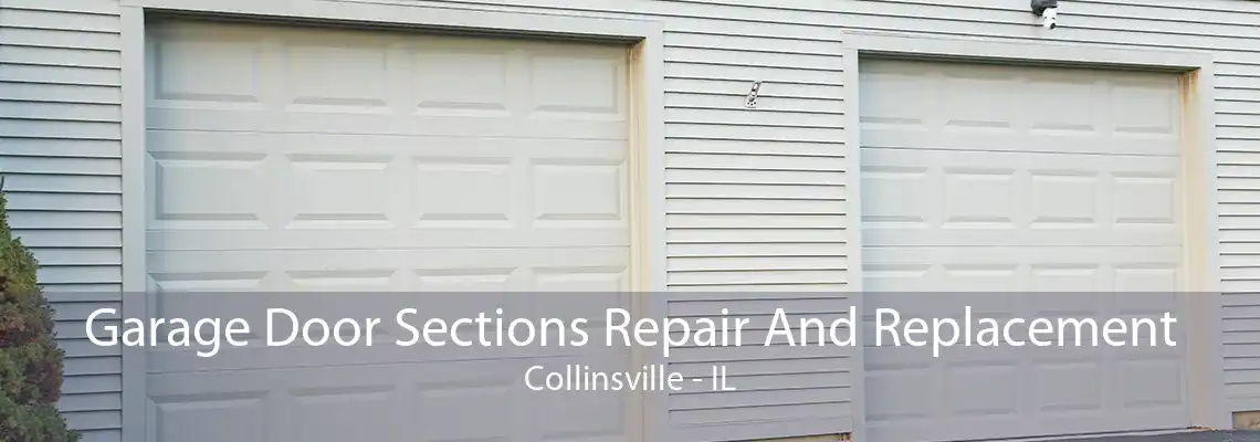 Garage Door Sections Repair And Replacement Collinsville - IL