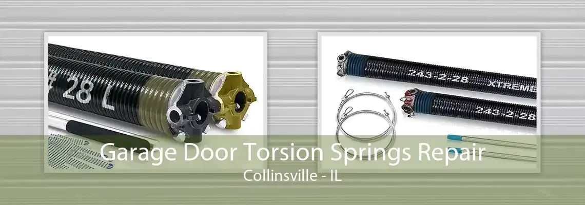 Garage Door Torsion Springs Repair Collinsville - IL