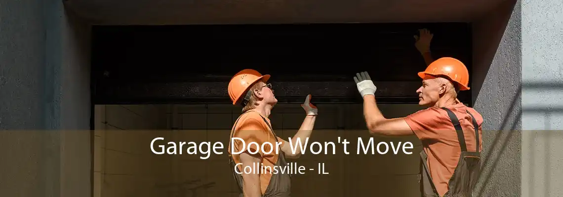 Garage Door Won't Move Collinsville - IL