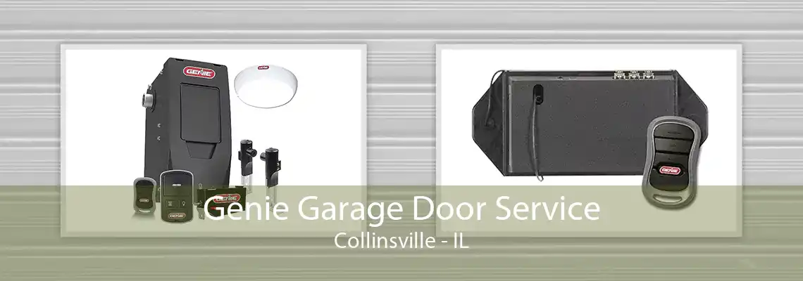 Genie Garage Door Service Collinsville - IL